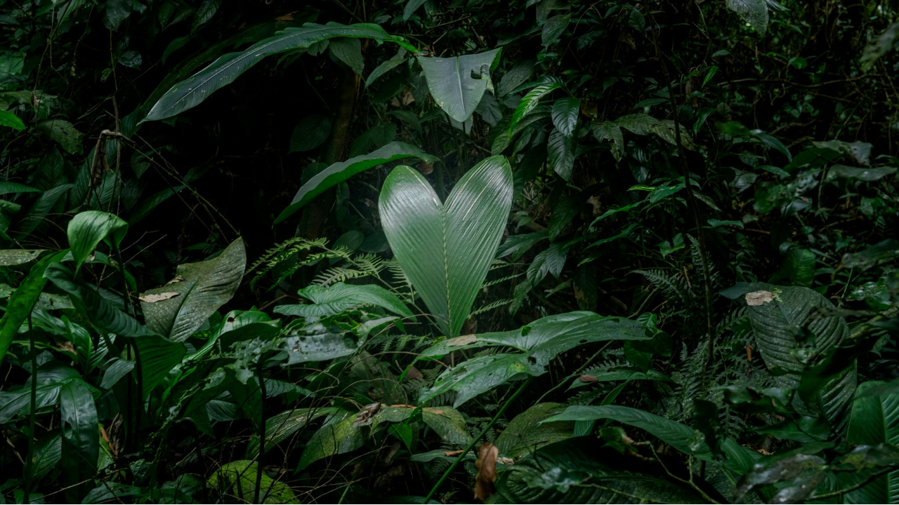 Key Factors that Increase Heart Disease Risk