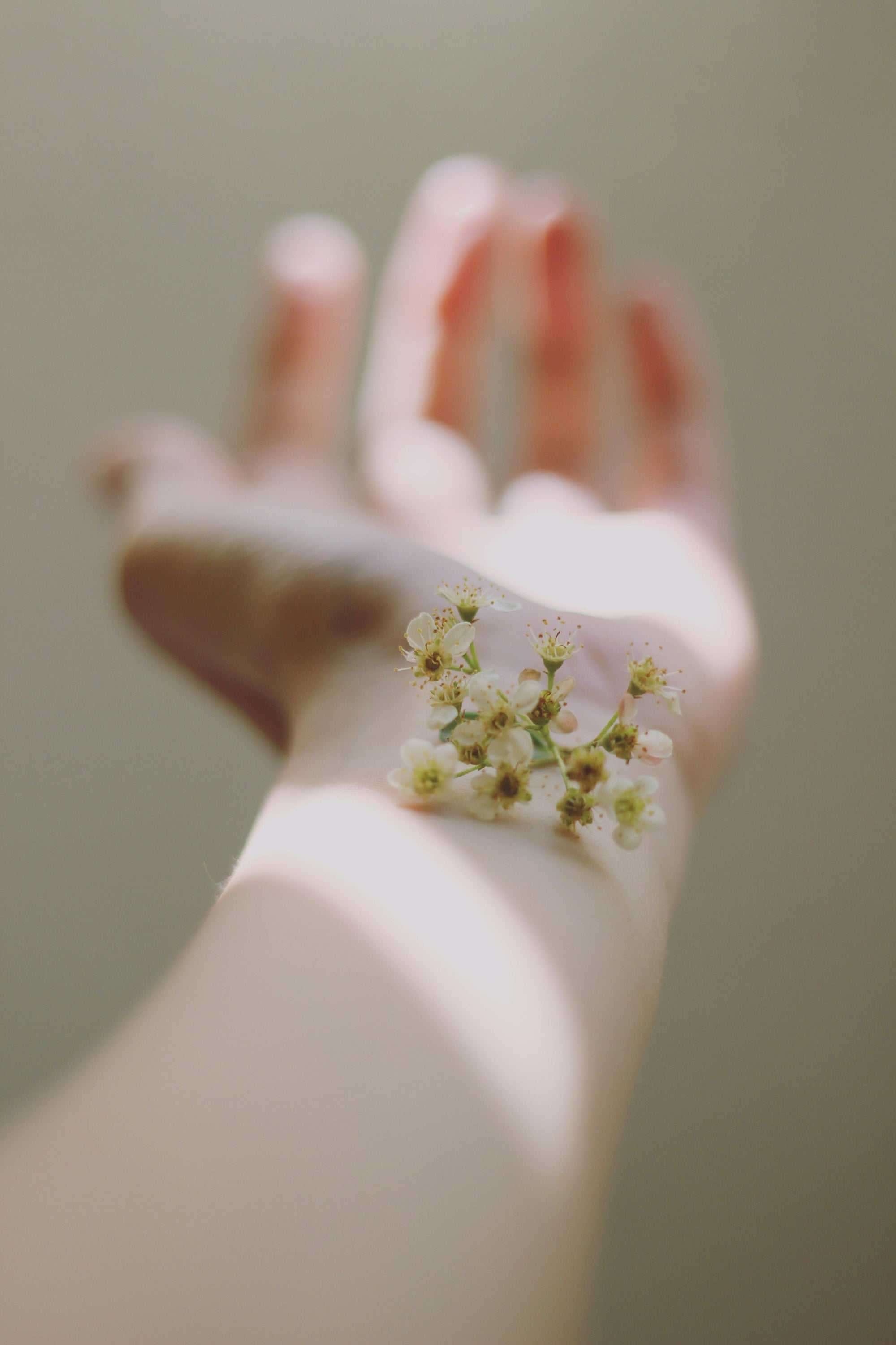 The Science of Skin Aging and How Immun'Âge Can Help ✨